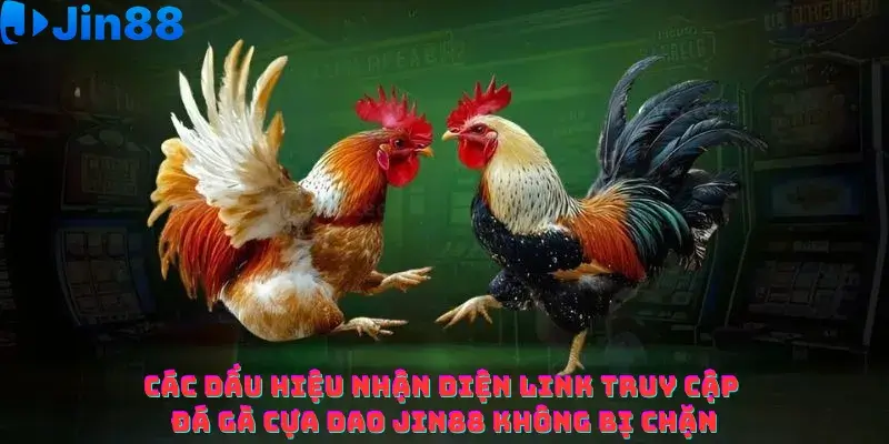 Đá gà cựa dao Jin88 – Cách nhận diện link truy cập chính thức không bị chặn - hình ảnh - drgsgpoekt.top