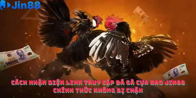 Đá gà - Jin88 - hình ảnh - drgsgpoekt.top Đá gà - Jin88 - hình ảnh - drgsgpoekt.top