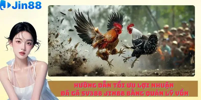 Đá gà - Jin88 - hình ảnh - drgsgpoekt.top Đá gà - Jin88 - hình ảnh - drgsgpoekt.top