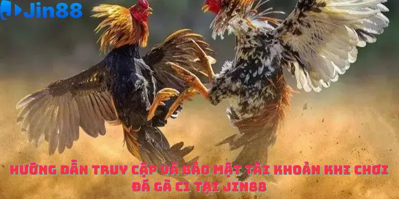 Đá gà C1 Jin88 – Phân tích Chiến thuật cá cược Luôn thắng từ Chuyên gia - hình ảnh - drgsgpoekt.top