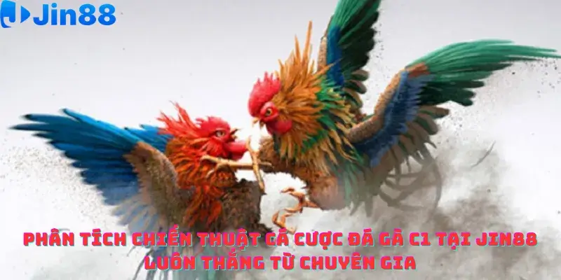 Đá gà - Jin88 - hình ảnh - drgsgpoekt.top Đá gà - Jin88 - hình ảnh - drgsgpoekt.top