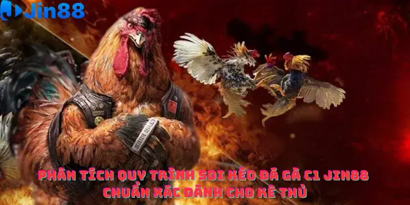 Đá gà C1 Jin88 – Phân tích Chiến thuật cá cược Luôn thắng từ Chuyên gia - hình ảnh - drgsgpoekt.top