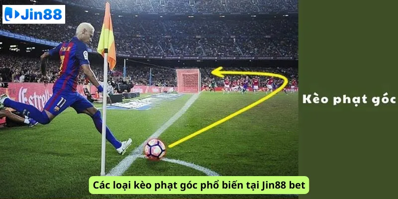 Kèo phạt góc là gì? Hướng dẫn chi tiết cho người chơi tại Jin88 - hình ảnh - drgsgpoekt.top