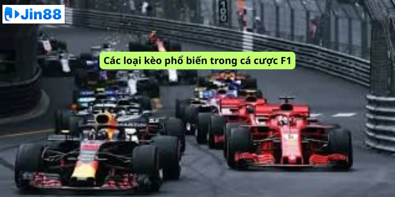 Cá cược đua xe F1 tại Jin88: Bí quyết dự đoán tay đua chiến thắng - hình ảnh - drgsgpoekt.top