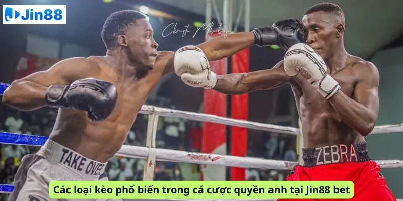 Cá cược quyền anh tại Jin88: Xem ngay mẹo cược boxing hiệu quả - hình ảnh - drgsgpoekt.top