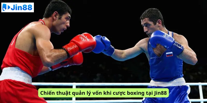 Cá cược quyền anh tại Jin88: Xem ngay mẹo cược boxing hiệu quả - hình ảnh - drgsgpoekt.top