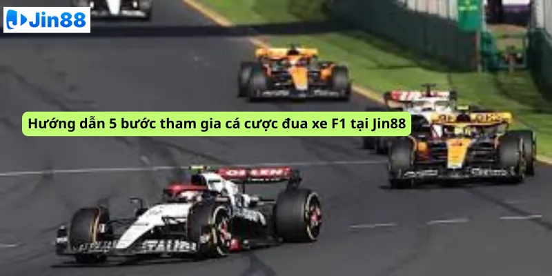Cá cược đua xe F1 tại Jin88: Bí quyết dự đoán tay đua chiến thắng - hình ảnh - drgsgpoekt.top