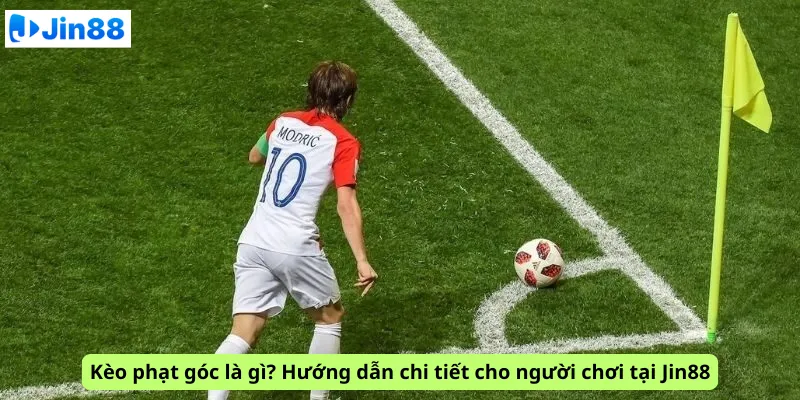 Kèo nhà cái - Jin88 - hình ảnh - drgsgpoekt.top